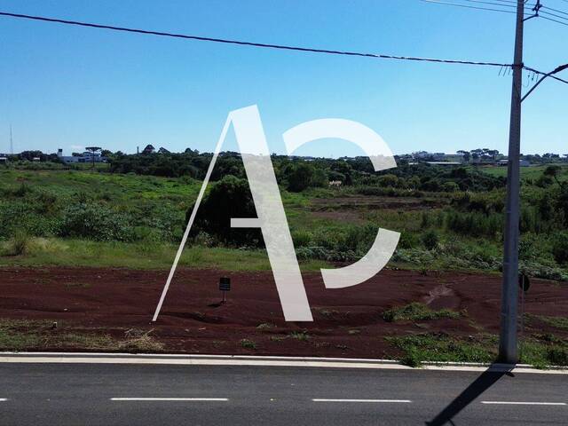 #2389 - Área para Venda em Xanxerê - SC - 1