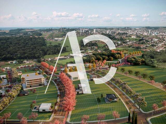 #2418 - Área para Venda em Xanxerê - SC - 1