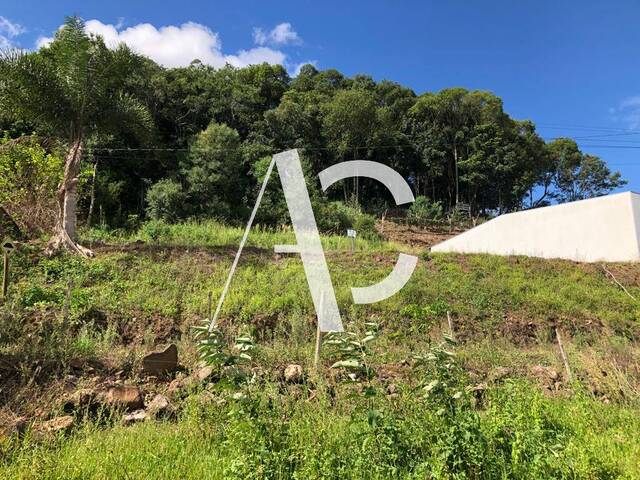 #2462 - Área para Venda em São Domingos - SC - 2