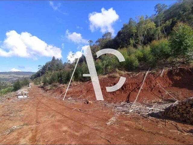 #2524 - Chácara para Venda em Xavantina - SC - 3