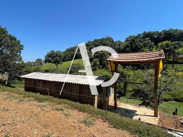 Chácara para Venda em Xanxerê - 4