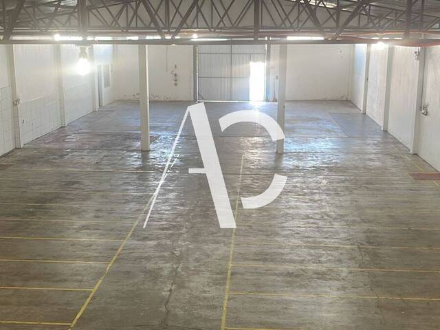 Empresa para Locação em Xanxerê - 4